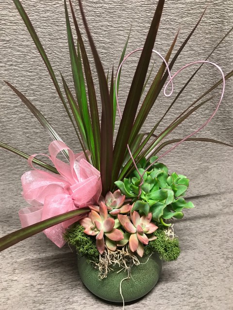 Succulent heart planter for valentine delivery