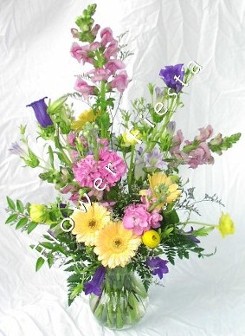 Pastel mixed spring flowers