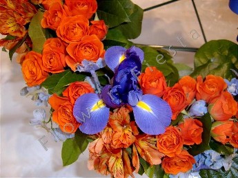 Coral and Blue Wreath of Spray Roses Iris