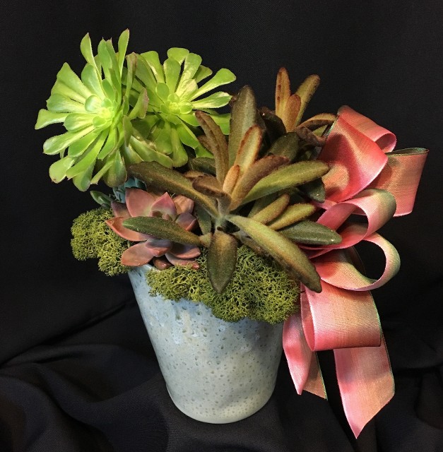 small succulent garden for delivery
