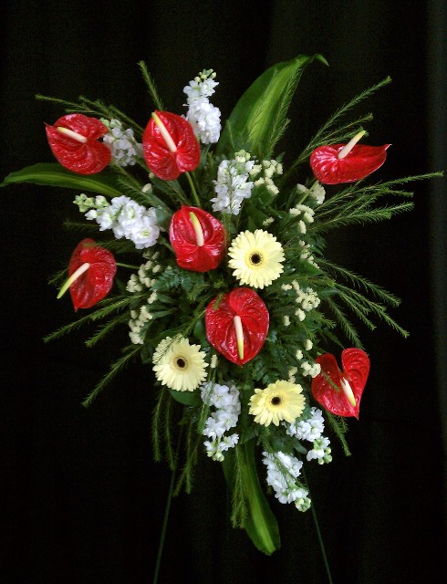 anthurium standard size spray with stock and statice.