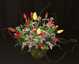 local tulips bowl with curly willow branches