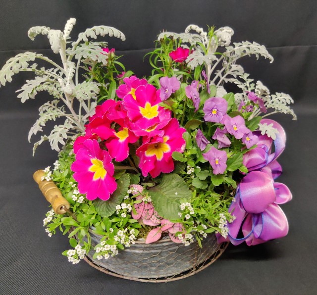Spring blooming Planter Garden for delivery